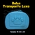 Bolsa Transporte Luxo - comprar online