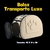 Imagem do Bolsa Transporte Luxo
