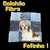 Colchão Fibra Quadriculado - loja online