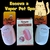 Escova a Vapor Pet Spa