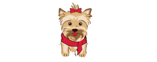Distribuidora Pet 