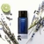 LAPIDUS COOL NIGHT - comprar online