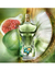 GAULTIER LE BEAU PARADISE GARDEN MAN en internet