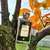 LATTAFA EJAAZI SILVER INTENSE EDP - El mundo en aromas