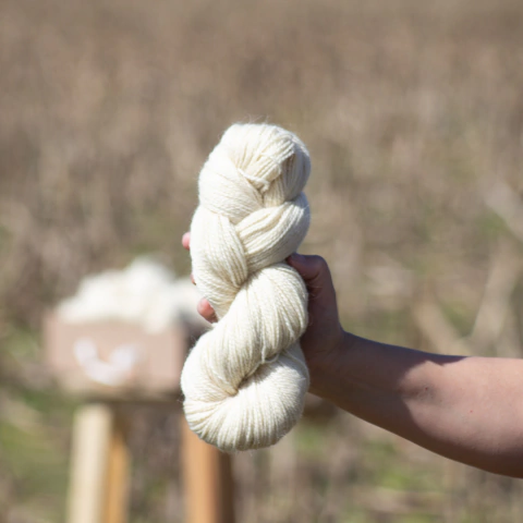 Caja Premium - Llama Merino - comprar online