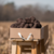 Imagen de Caja Premium - Llama Merino
