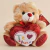 Peluche Oso Corazón "Te amo" 22cm