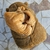 Imagen de Peluche Capibara Manta 40cm