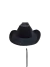 A CHAPEU COWBOY PRETO C/CORDÃO
