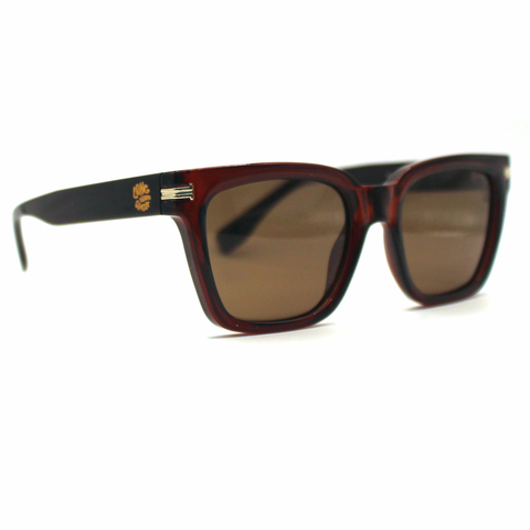 Óculos de Sol Longboard Concept Modelo 080-Preto e Marrom - comprar online