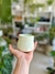 MACETA BOMBITA Y BOMBA - Savia Boutique de Plantas