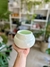 MACETA BOMBITA Y BOMBA - Savia Boutique de Plantas