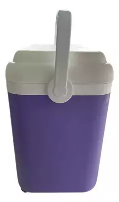 Conservadora Heladera 34 Litros Grande Reforzada - comprar online