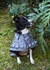 Trench - tienda online