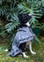 Trench - Akasha Designs Store