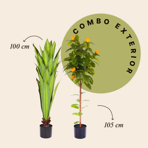 Combo Exterior