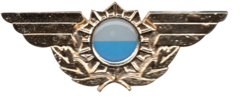 PSA-115/1 Brevet Logistica Policial Aeroportuaria (Oro)