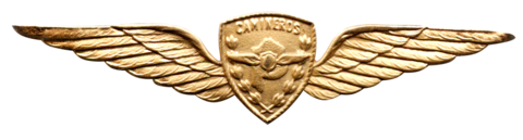PBA-201/1 Alas de Camineros doradas
