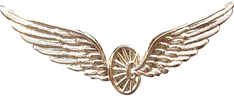 PBA-202/1 Ala de Comando, dorada