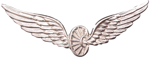 PBA-202 Ala de Comando, plateada