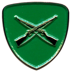 PBA-249 Distintivo Boina Tropa