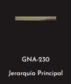 GNA 230 - JERARQUIA PRINCIPAL