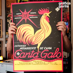 CANTA GALO
