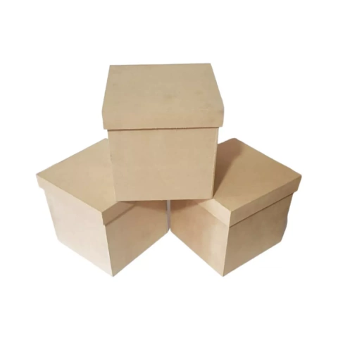 Caja Tapa Lisa 40x40 cm PACK X 12