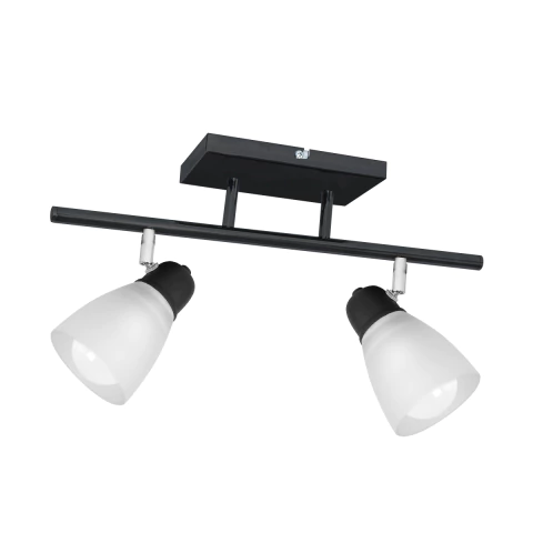 LAMPARA TECHO DALIA 2 LUCES BARRAL LIVING BAÑO TULIPA VIDRIO E27 - comprar online