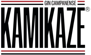 Gin Kamikaze