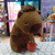 Oso Capybara Grande en internet