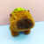 Capybara Que Camina en internet