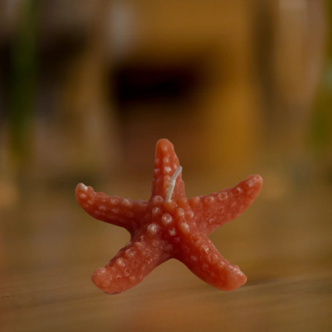 Vela Decorativa Estrela do Mar 9X2cm