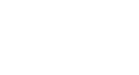 AREA ECLETICA