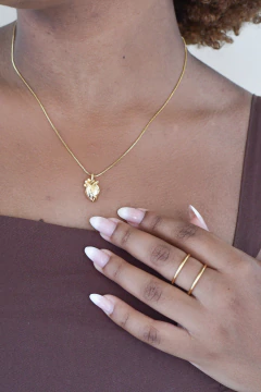 Anel Fios na internet