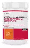 Colageno Hidrolizado Con Vitamina C - Coletrix
