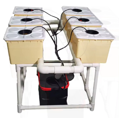Sistema para hidropónico Dutch de 6 cubos