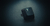 ANILLOS NEGROS en internet