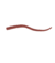 Smart fusion lip pencil (31)- KIKO Milano en internet