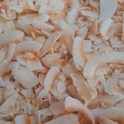 Chips de Coco Torrado sem Açúcar - comprar online
