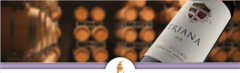 Banner de la categoría Don Cristobal 