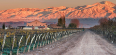 Banner de la categoría Las Perdices 