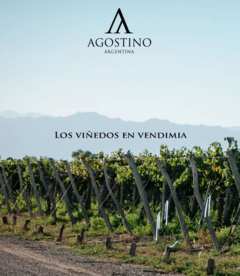 Banner de la categoría Casa Agostino