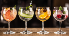 Banner de la categoría Gin 