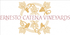 Banner de la categoría Ernesto Catena 