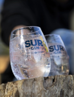 Banner de la categoría Gin Sur