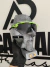 Radar EV Green Lente Black - comprar online