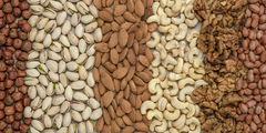 Banner da categoria Oleaginosas