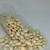 Fava Branca