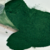 Spirulina em pó